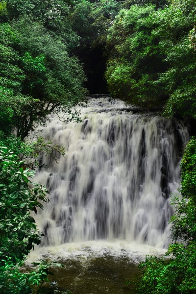 水落在绿树中间